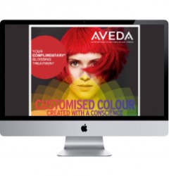 aveda-email-feature